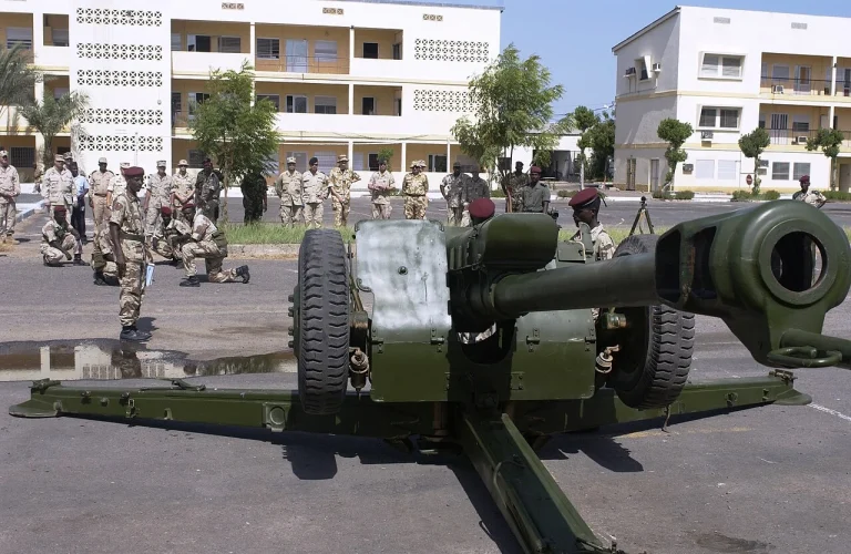 Artillery for African Armies: What Towed and Self-Propelled Systems Are In Service and On Order
