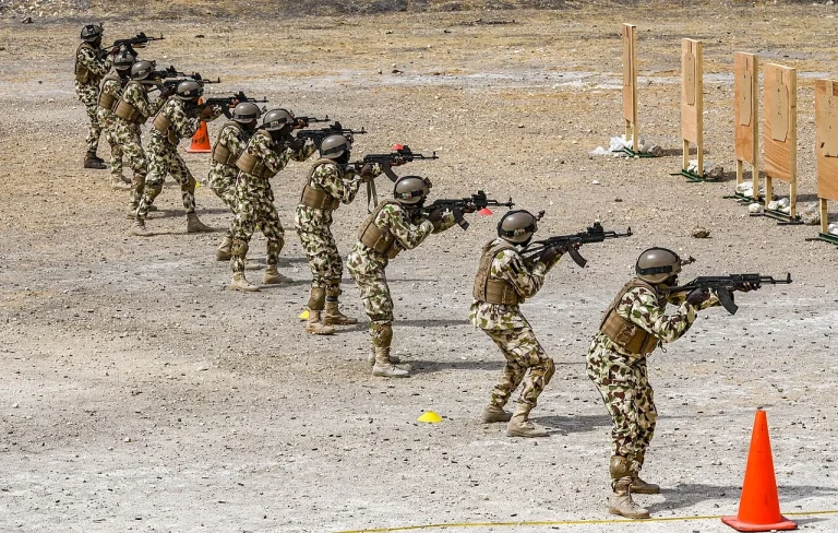 Nigeria and Türkiye Move From Arms Sales Toward Joint Production