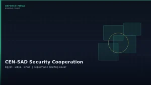 Egypt, Libya, Chad Discuss Reviving CEN-SAD Security Cooperation