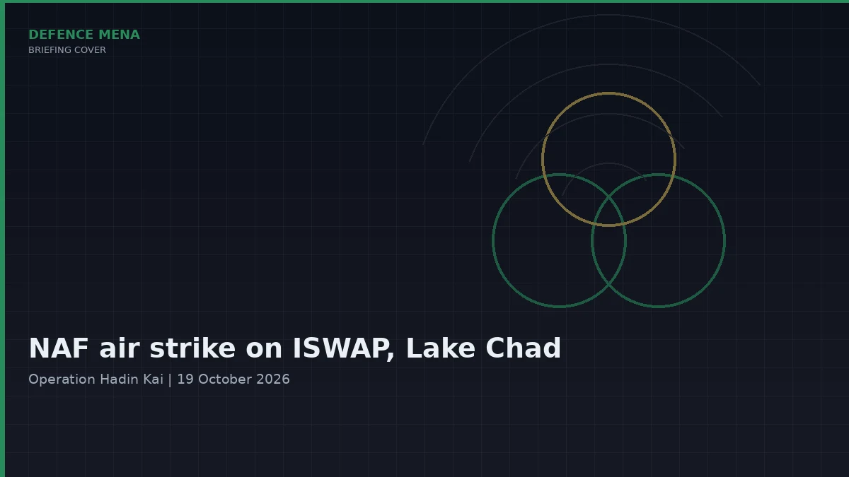 Nigerian Air Force Says Lake Chad Strike Killed Senior ISWAP Figures: What It Claims and What Is Unverified