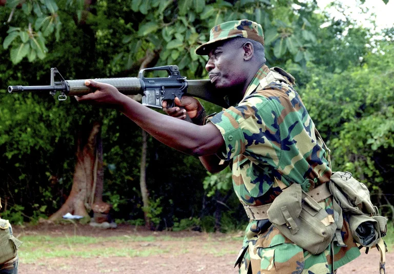Ghana Army Weapons and Equipment List (2026): Who Built the Arsenal