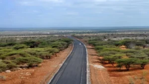 Ethiopia’s Oromia and Somali Regional Forces Clash in Moyale as Kenya Sends Troops to the Border