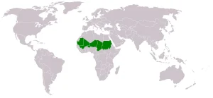 Military Drones in the Sahel: Who Operates What, and Who Is Actually Supplying Them
