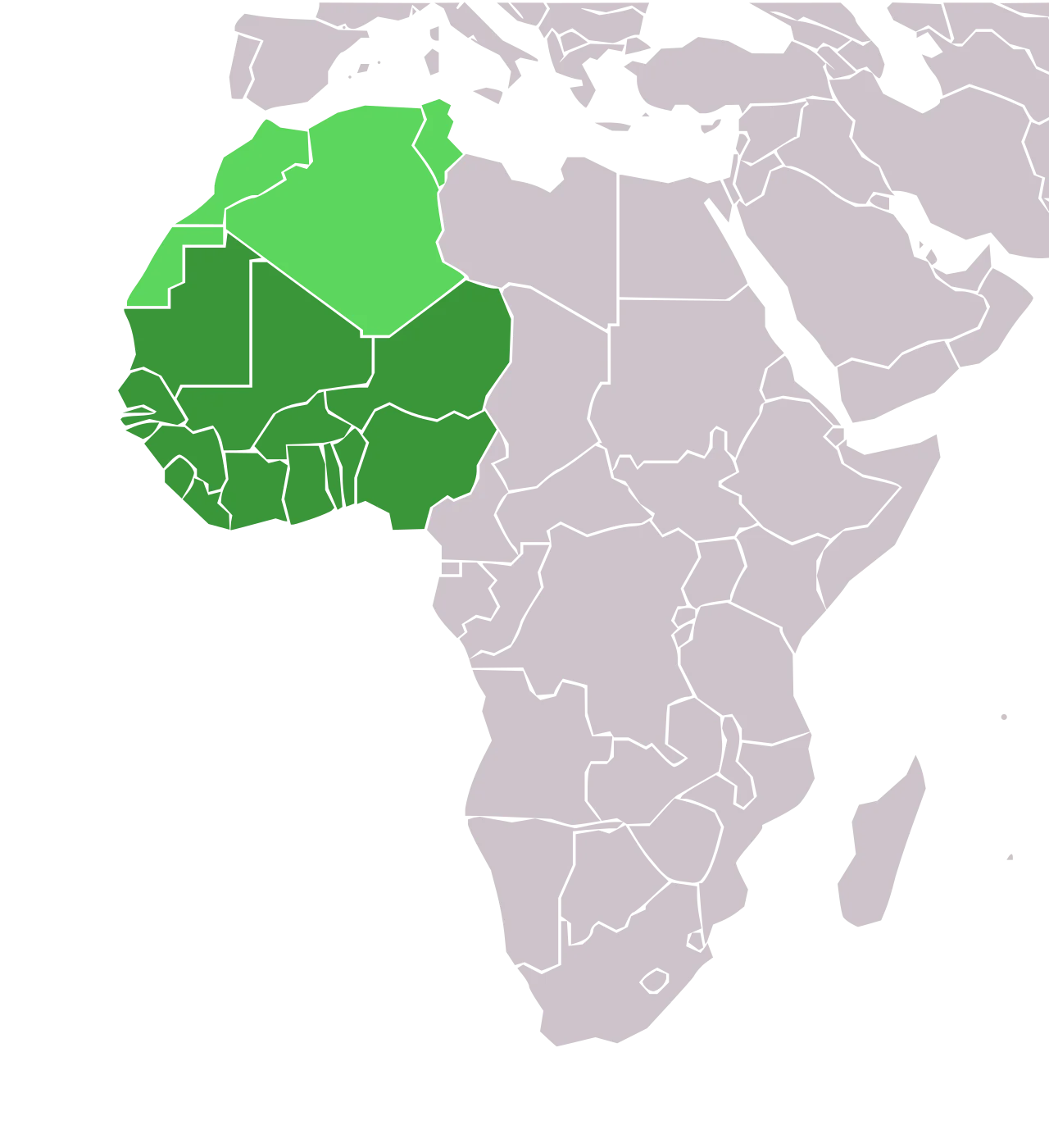 Strongest Militaries in West Africa in 2026: How the Sahel Bloc Compares
